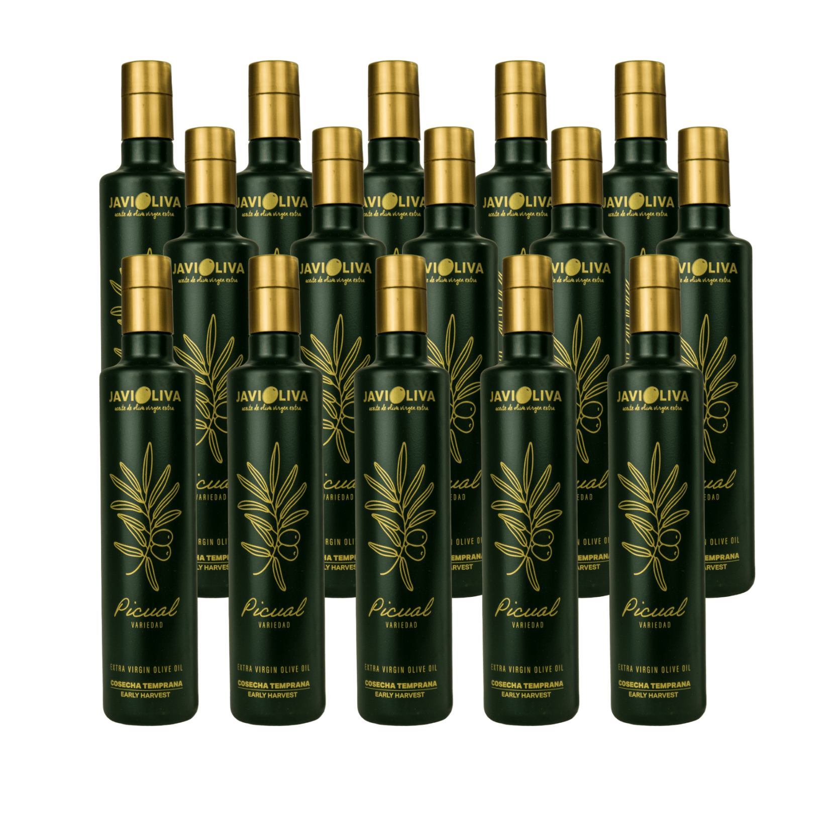 Caja AOVE Cosecha temprana 2024-25 variedad picual - Botella 500 ml CRISTAL (15 unidades)